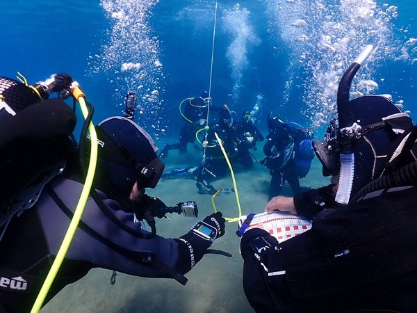 Assistant Instructor en formation