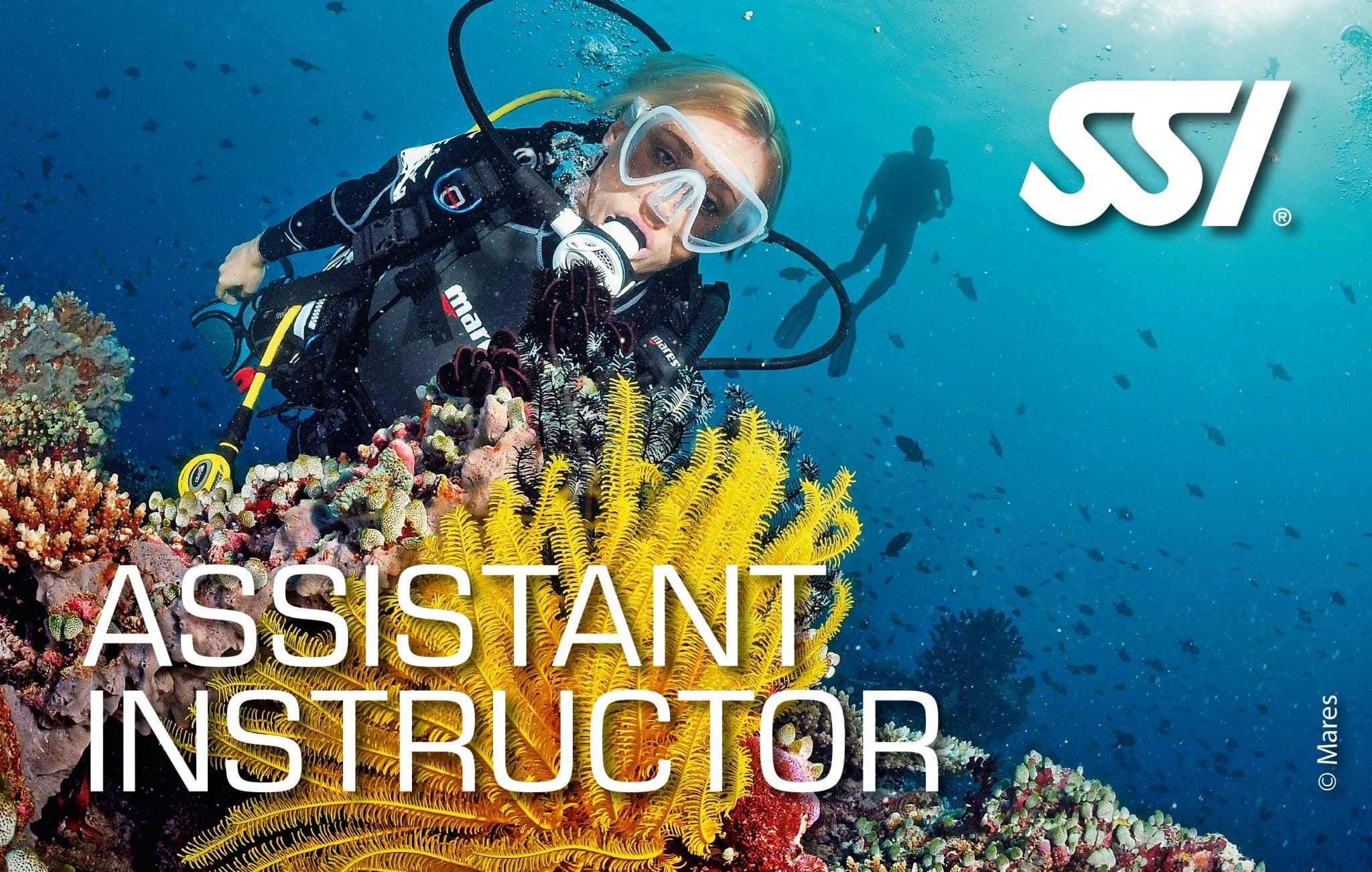 Carte de certification SSI Assistant Instructor