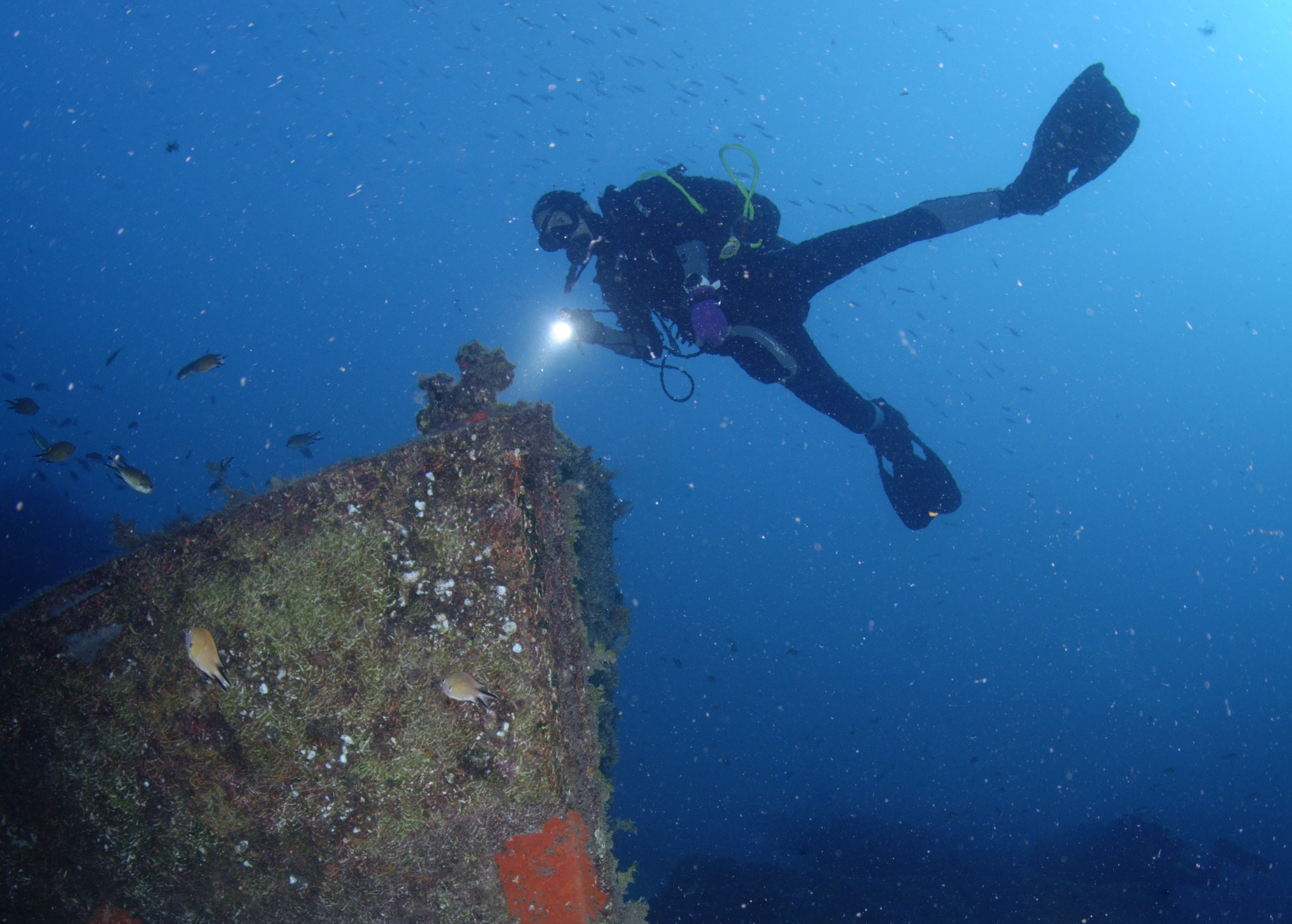 Formation FFESSM en mer