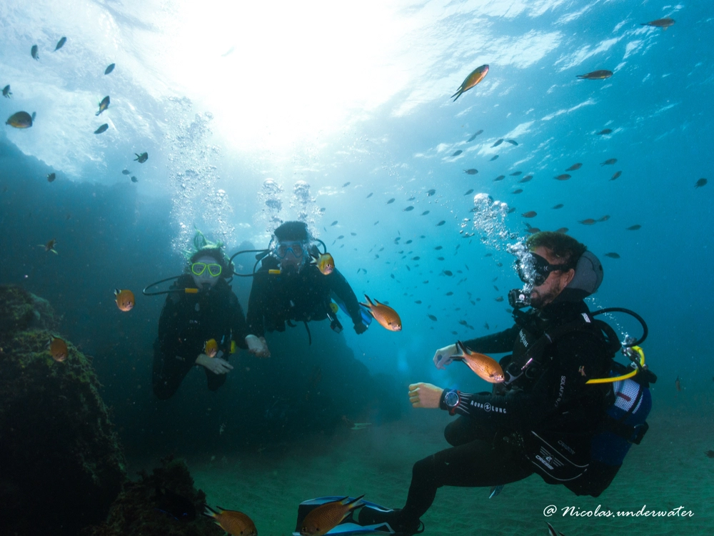 Baptême de plongée avec Aquasport Diving Lanzarote