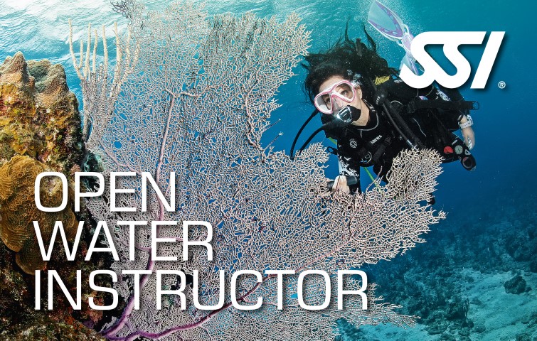 Carte de certification SSI Open Water Instructor